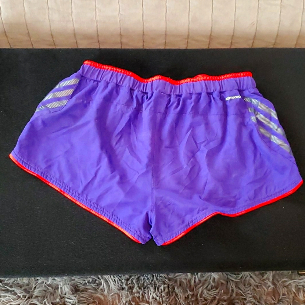 Shorts - Picture 2 of 5